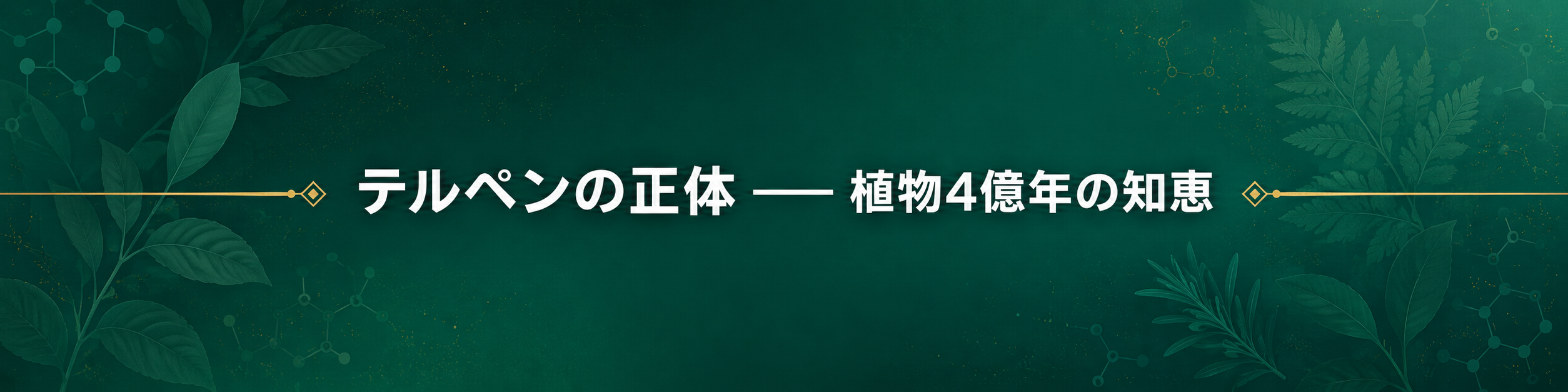 セクション区切り