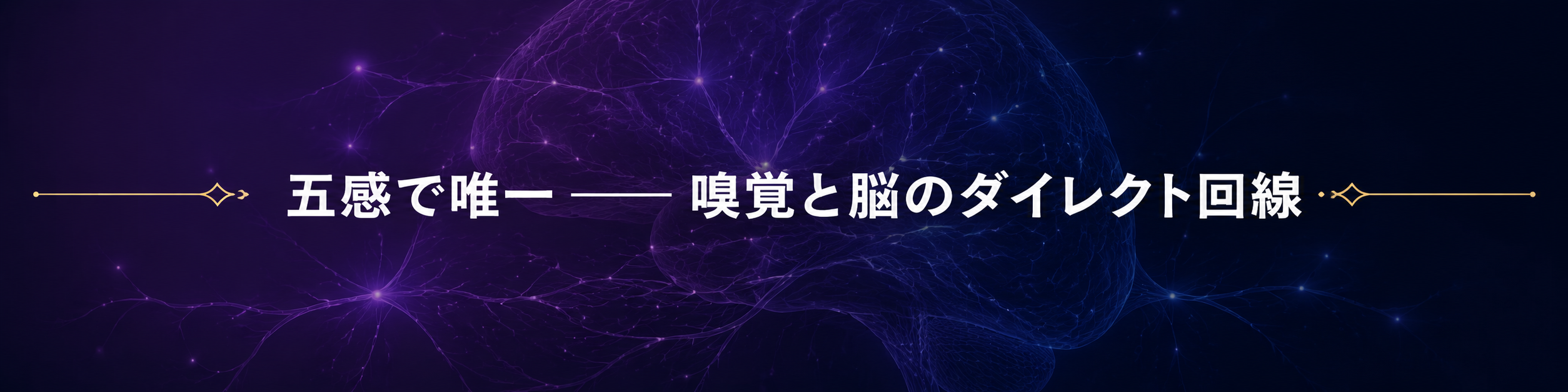 セクション区切り