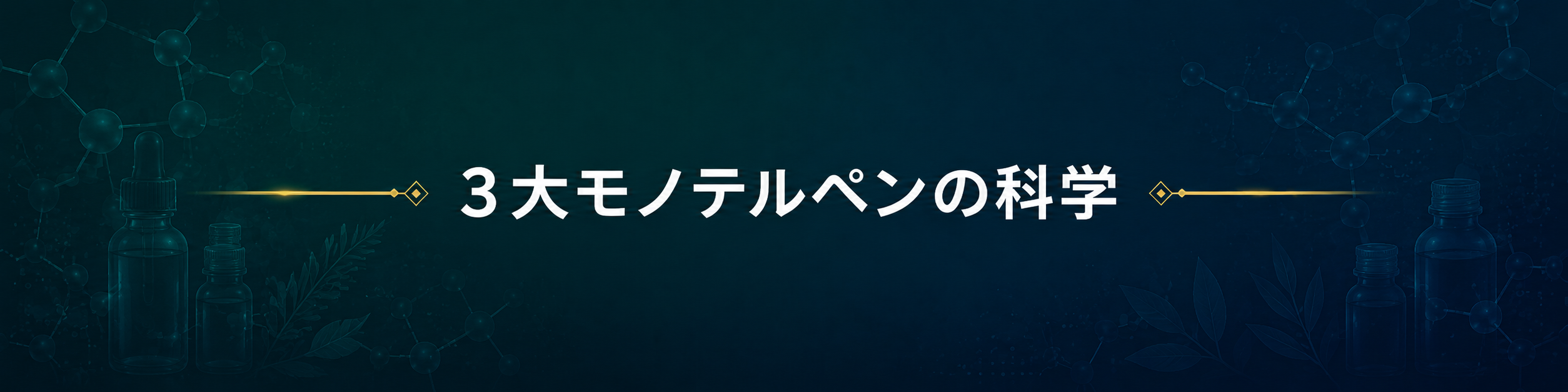 セクション区切り