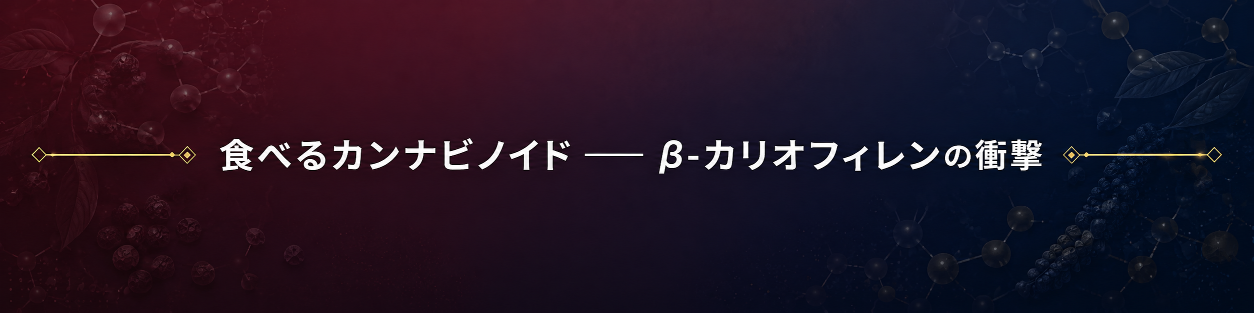 セクション区切り