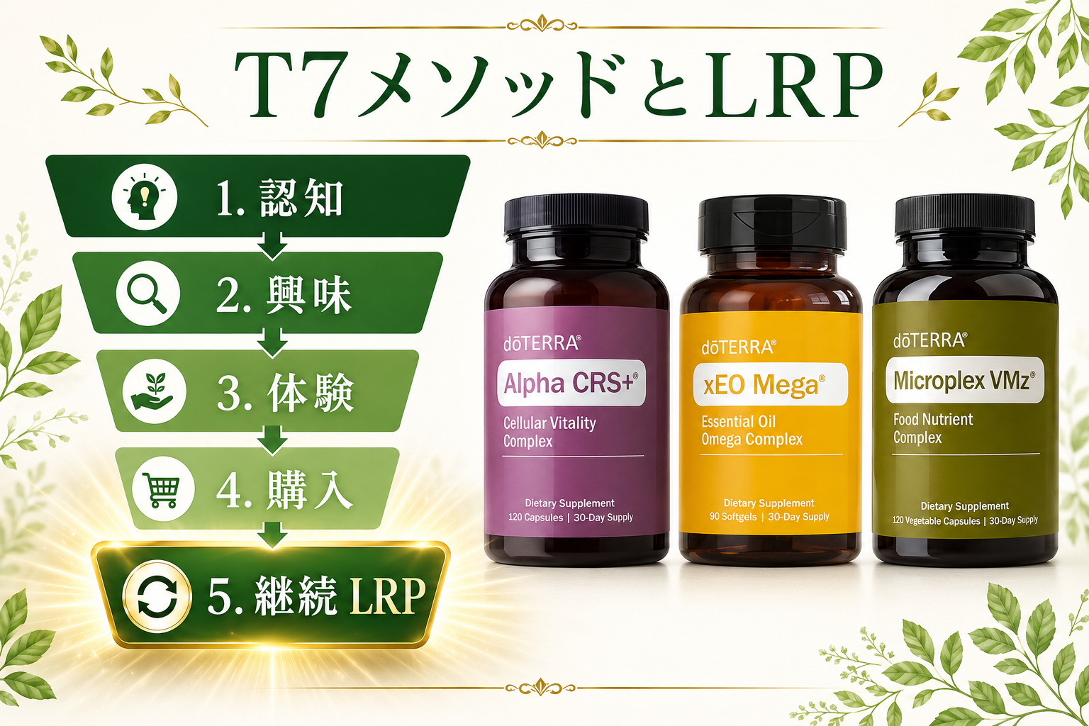 doTERRA LRPロイヤルティ・リワード完全ガイド|続けるほどお得になる仕組みを徹底解説 30 T7メソッドとLRP