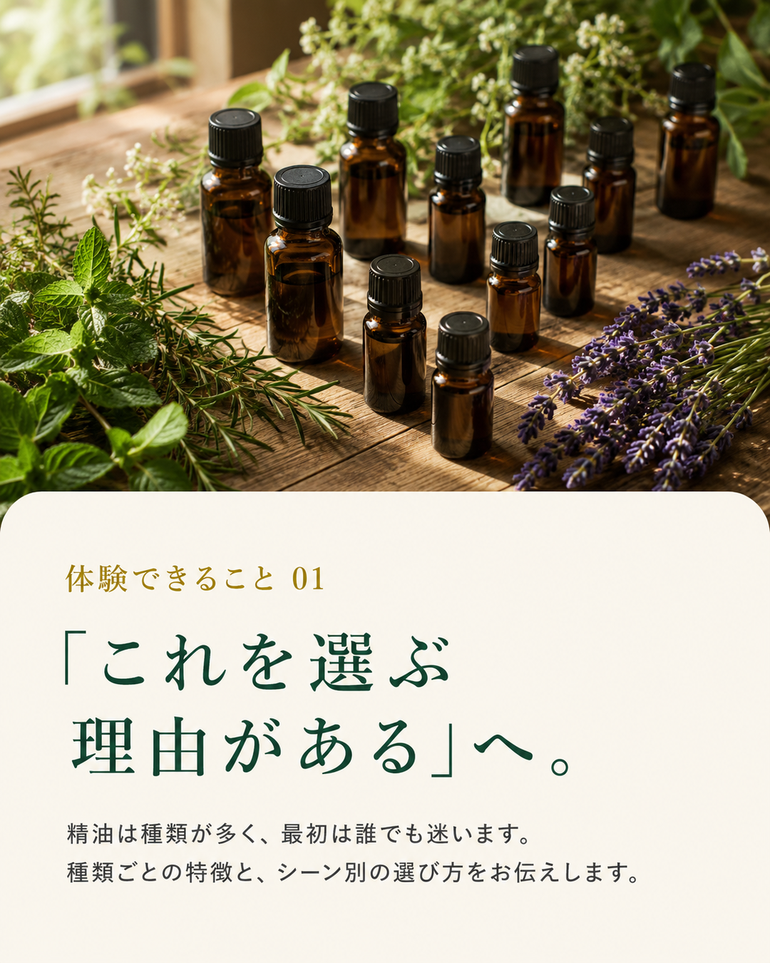 アロマタッチとは?精油の選び方3つの入口と希釈の目安【9/5 京都・花園 体験会】 7 アロマタッチとは?精油の選び方3つの入口と希釈の目安【9/5 京都・花園 体験会】