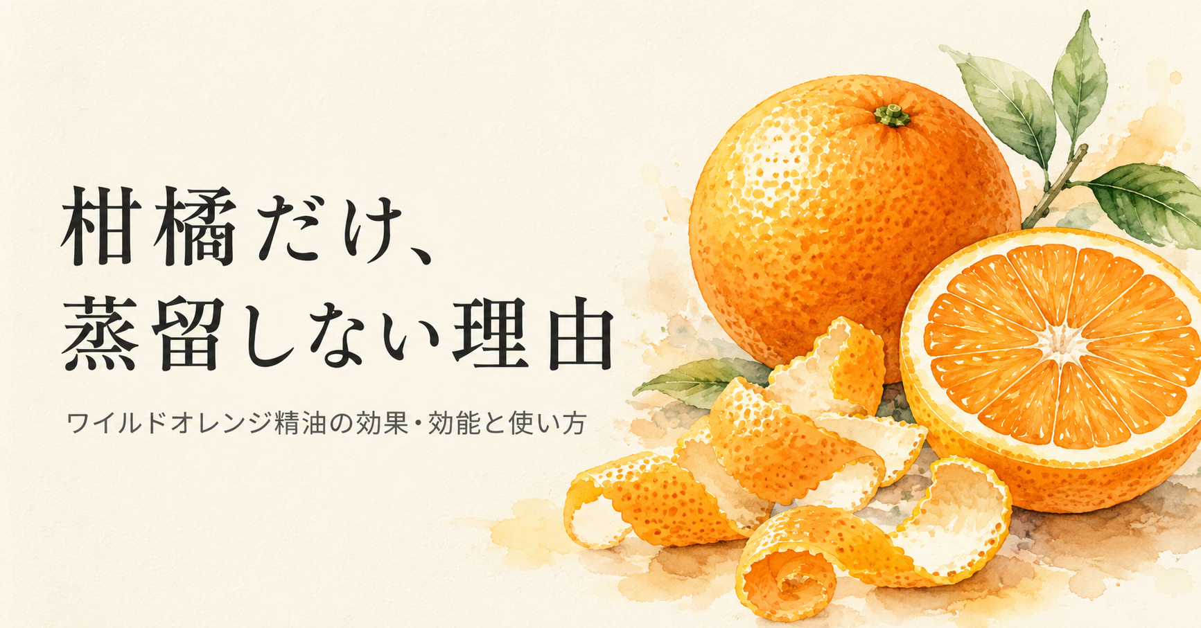 柑橘だけ蒸留しない理由——ワイルドオレンジ精油の記事アイキャッチ
