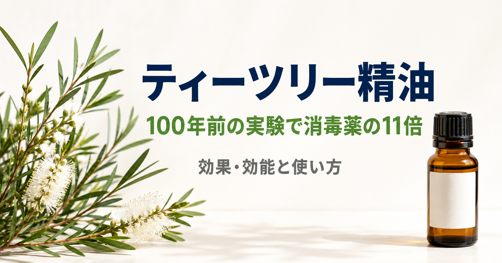 ティーツリー精油の効果・効能と使い方|100年前の実験で消毒薬の11倍を記録した精油