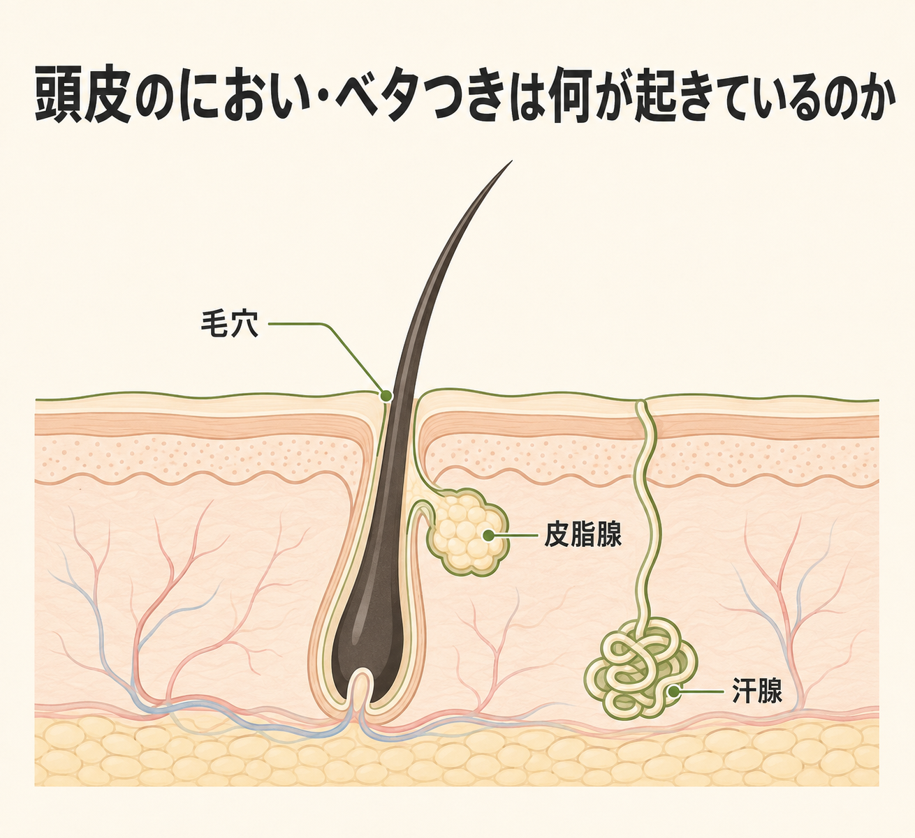 頭皮アロマの選び方──におい・ベタつきが気になる季節のケア手順 5 頭皮のにおい・ベタつきは何が起きているのか