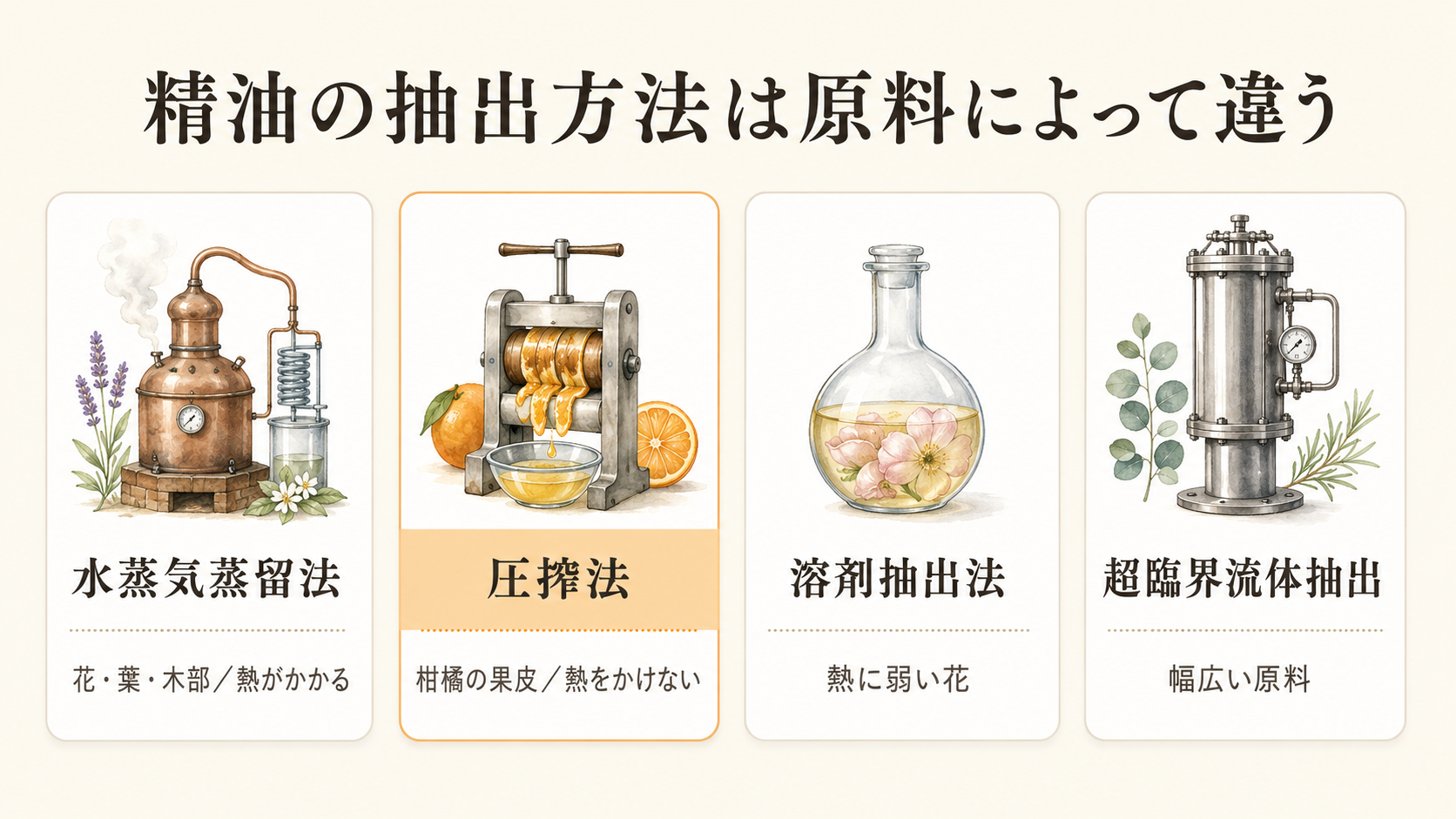 精油の抽出方法の比較図。水蒸気蒸留法・圧搾法・溶剤抽出法・超臨界流体抽出