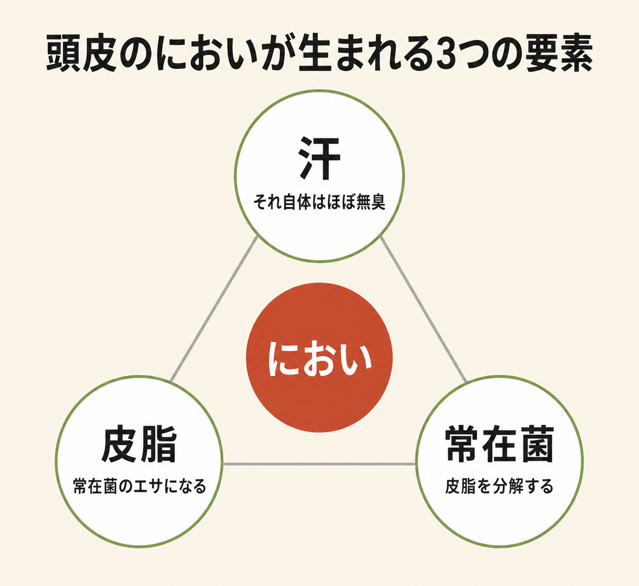頭皮アロマの選び方──におい・ベタつきが気になる季節のケア手順 6 頭皮のにおいが生まれる3つの要素
