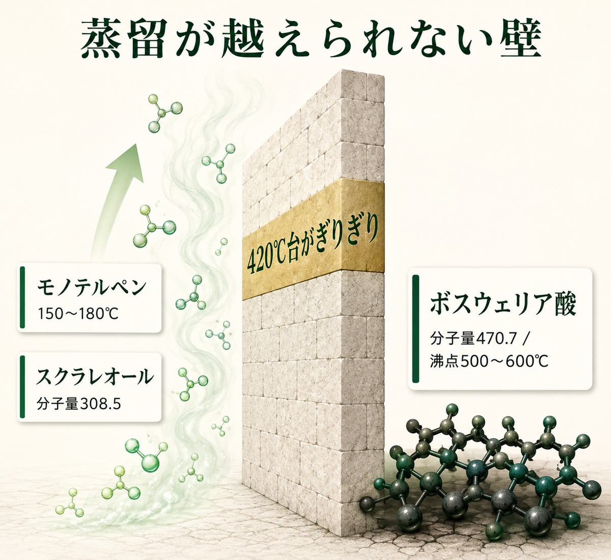 分子量470・沸点500℃の壁を示すメイン図解
