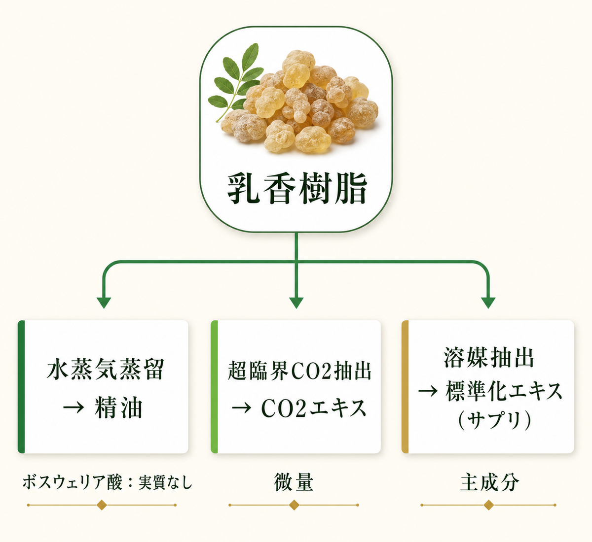 樹脂から「精油/CO2エキス/サプリ用エキス」へ分岐する流れ図