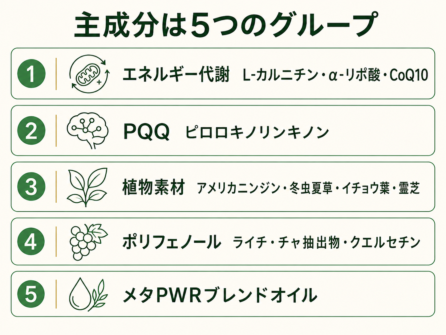 メタPWRミト2マックスとは|成分・飲み方・価格を公式情報で徹底解説 15 メタPWRミト2マックスの主成分5グループ