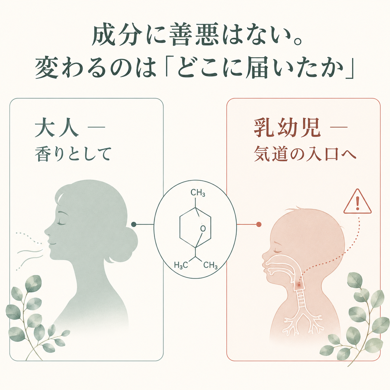 ユーカリ精油は何歳から使える?|1,8-シネオールの「30ヶ月」と「10歳」の線引き 26 同じ成分でも届く先で意味が変わる
