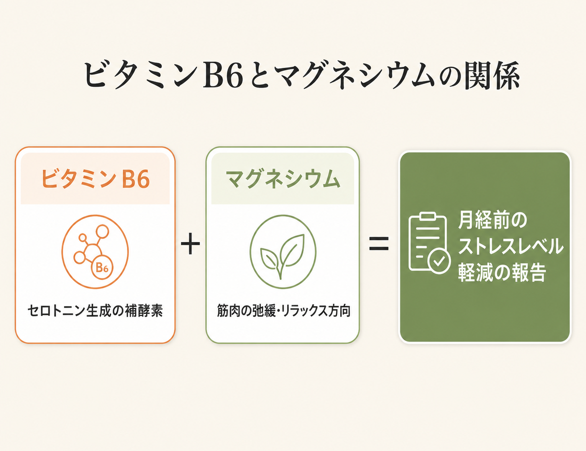クラリセージとクラリカームの選び方・使い方──PMS・生理前の不調に【マグネシウム・ビタミンB6も】 48 ビタミンB6とマグネシウムの関係