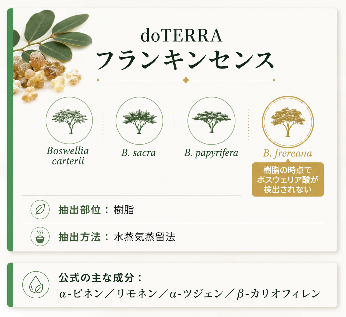 doTERRA 4種ブレンドと抽出方法・主な成分のカード図