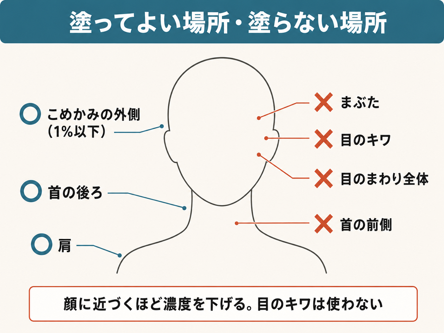 精油を塗ってよい場所と塗らない場所｜首の後ろ・肩はよい、まぶた・目のキワは不可