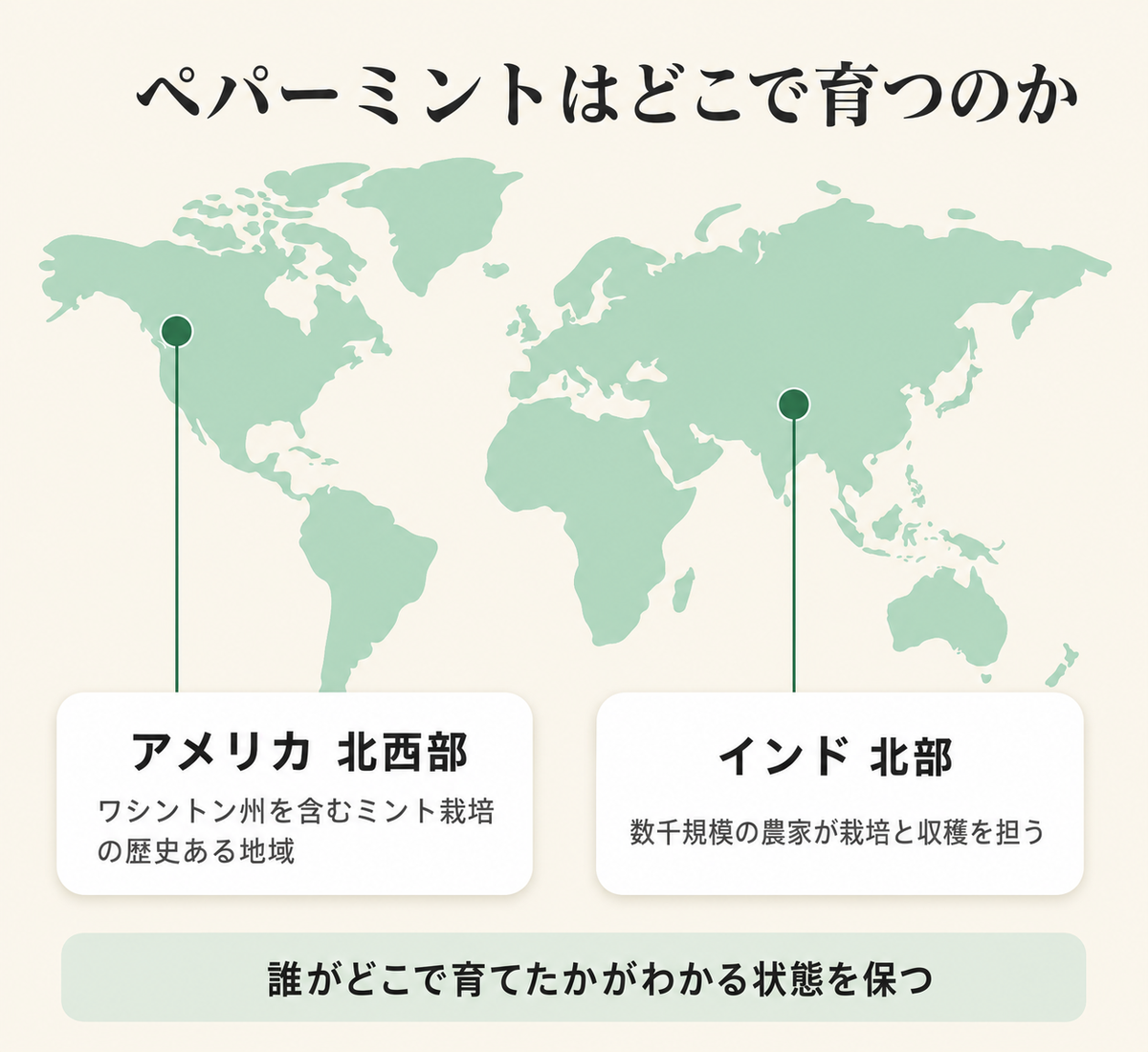 ペパーミント精油は頭痛に使える?──こめかみ塗布の希釈率と6つの禁忌をエビデンスで解説 45 ペパーミントの産地(アメリカ北西部とインド北部)