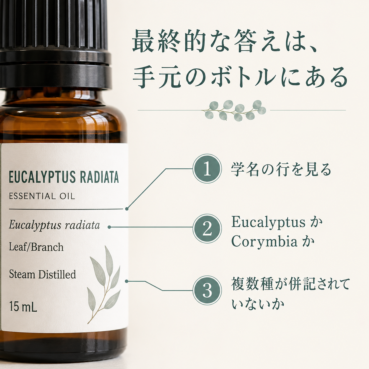ユーカリ精油は何歳から使える?|1,8-シネオールの「30ヶ月」と「10歳」の線引き 66 精油ボトルのラベルで見るべき3か所