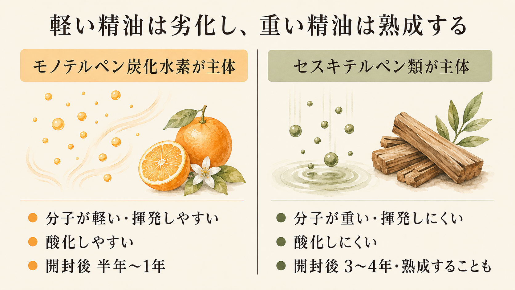 モノテルペン炭化水素とセスキテルペン類の対比図。軽い精油は劣化し、重い精油は熟成する