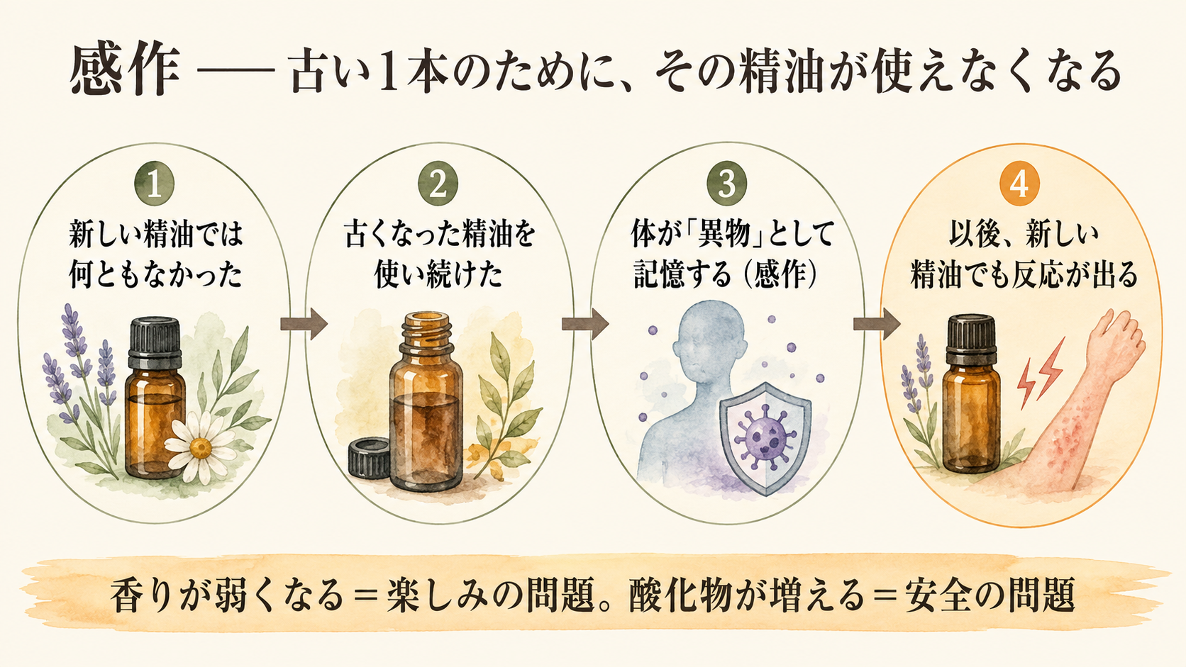 感作が成立する4ステップの図。古い精油を使い続けると新しい精油でも反応が出るようになる
