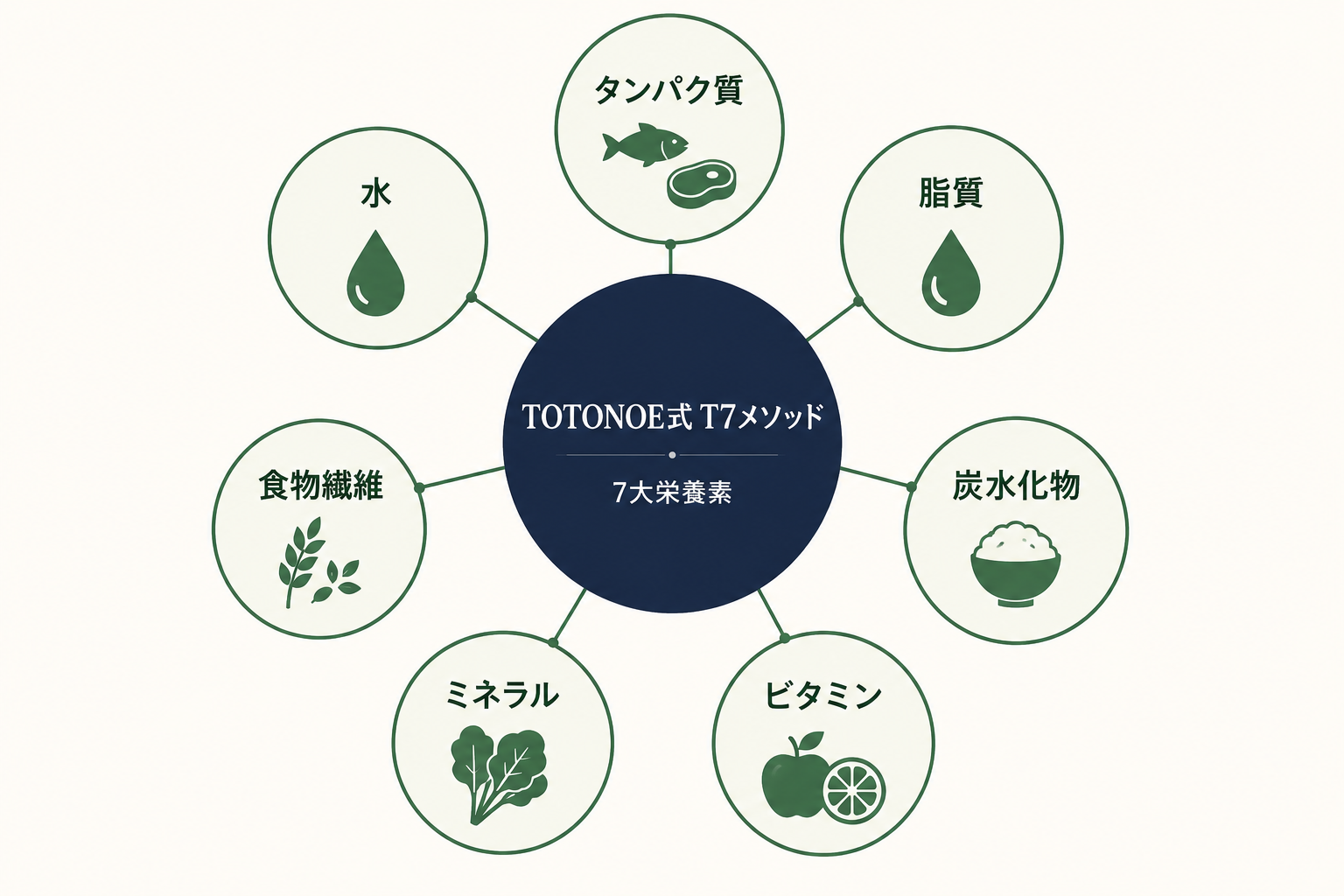 TOTONOE式T7メソッド 7大栄養素の体系図